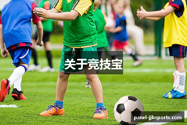 关于竞技宝